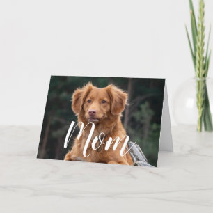 Carte Chien Maman Drôle Joyeux Anniversaire Mignonne Chi