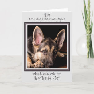 Carte Chien Maman Drôle Joyeux Fête des Mères Mignonne C