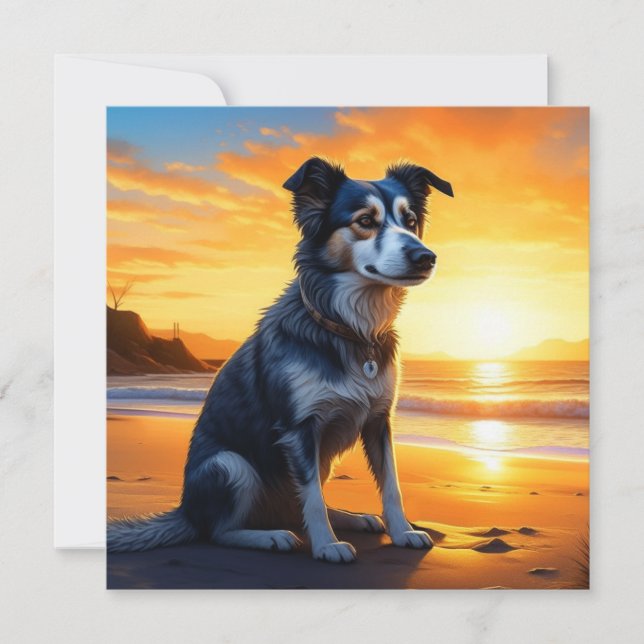 Carte Chien mignon sur la plage au coucher du soleil (Devant)