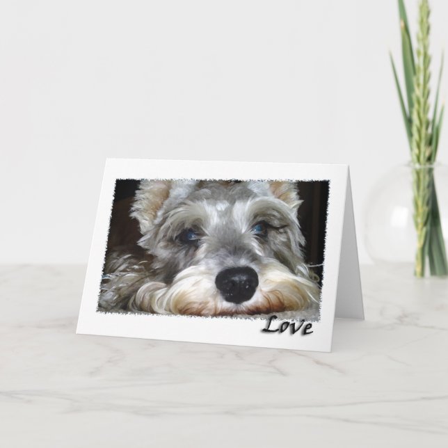 Carte CHIEN : Mini Schnauzer allemand avec amour (Devant)