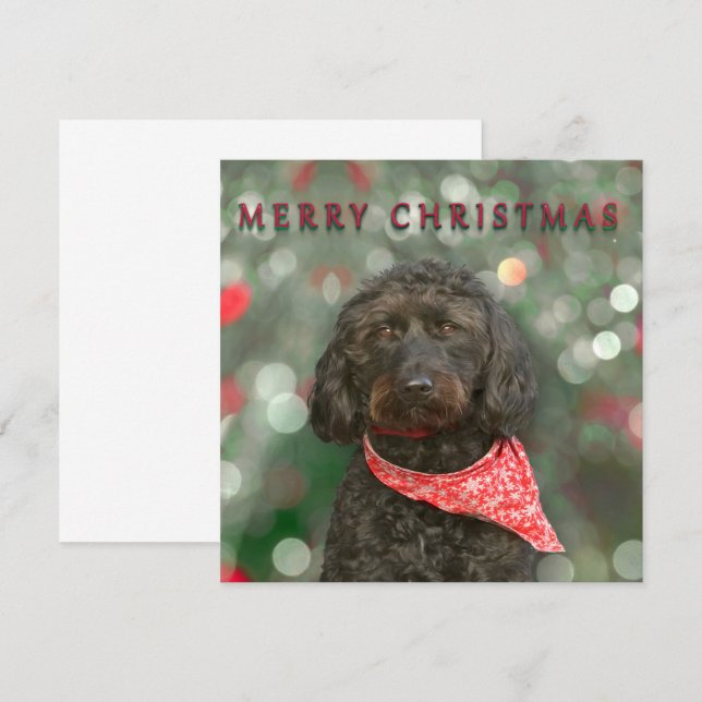Carte chien noir labradoodle Noël (Devant / Derrière)