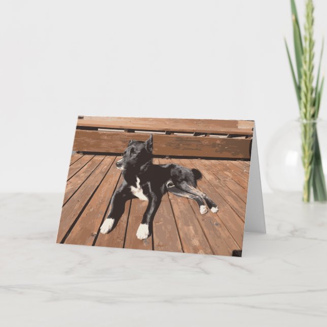 Carte Chien Noir Posé Sur Un Pont Chiot Sommeil (Devant)