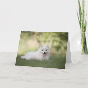 Carte Chien Poméranien blanc personnalisé