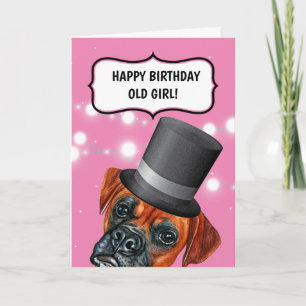 Carte Chien portant le chapeau de la vieille fille brita