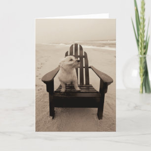 Carte Chien Profitant de la plage