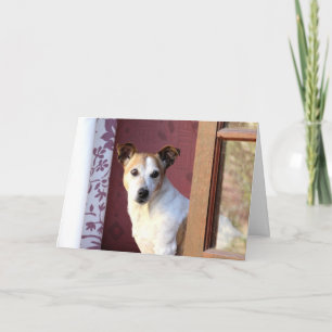 Carte Chien qui t'a manqué