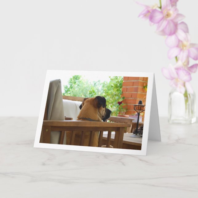 Carte Chien reposant dans le portrait de chaise (Orchidée)