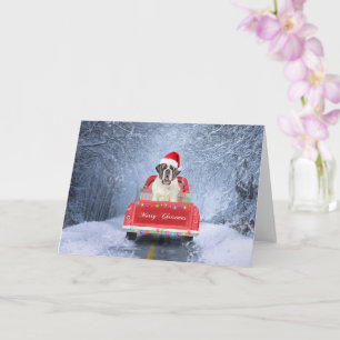 Carte Chien Saint-Bernard dans la neige assis dans un ca