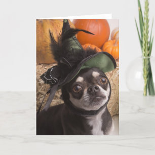 Carte Chien sorcier d'Halloween