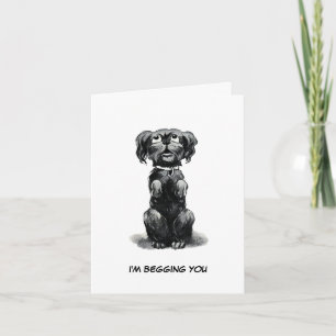 Carte Chien suppliant pour le pardon, souhaits d'anniver