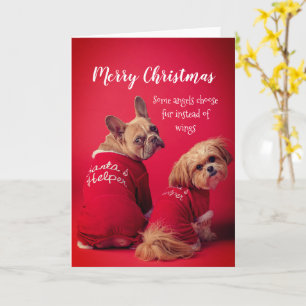 Carte Chien-taupe Français Et Chih Tzu