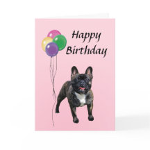Chien-taureaux français avec ballons Joyeux annive