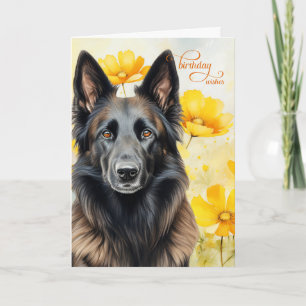 Carte Chien Tervuren belge et Poppies d'or Anniversaire