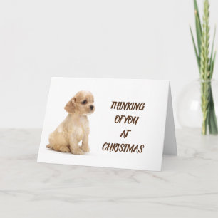 CARTE CHIEN, VÉTÉRINAIRE ET CHIEN QUI MARCHE
