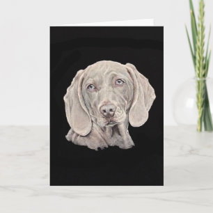 Carte Chien Weimaraner sur noir.