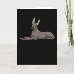 Carte Chien Xoloitzcuintle