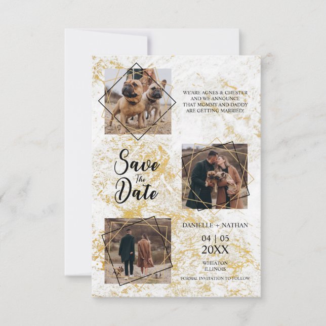 Carte Chiens Animaux de compagnie Trois Photos Engagé  E (Devant)