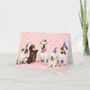 Carte Chiens d'anniversaire