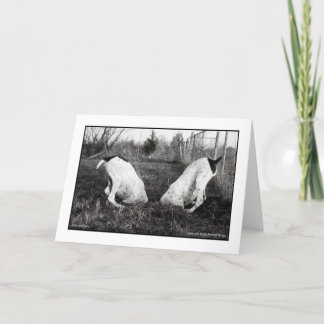 Carte Chiens dans un trou