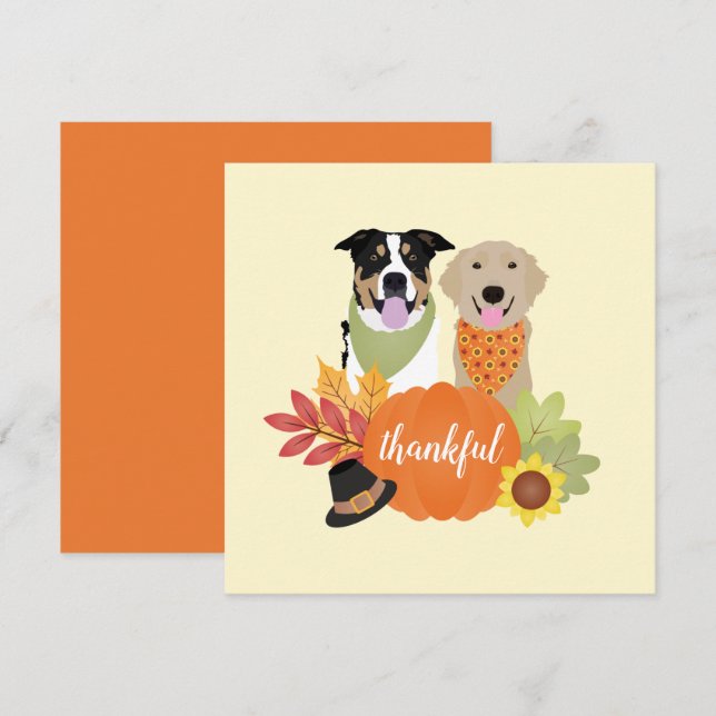 Carte Chiens de grâce Thanksgiving Citrouilles de récolt (Devant / Derrière)