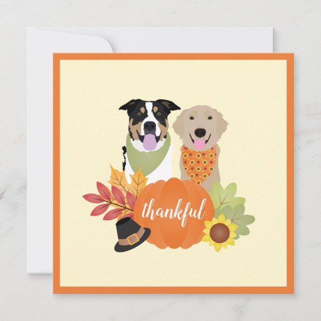Carte Chiens de grâce Thanksgiving Citrouilles de récolt (Devant)