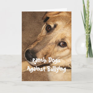 Carte Chiens De Ranch Contre L'Intimidation - Cowboy Par