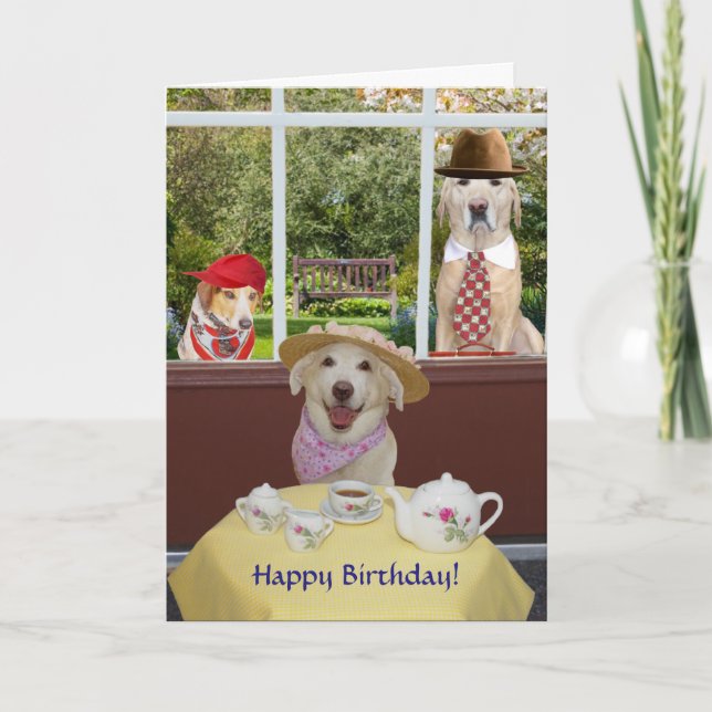 Carte Chiens drôles/anniversaire femelle de laboratoires (Devant)