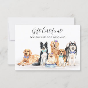 Carte Chiens Entretien des animaux de compagnie Chien En