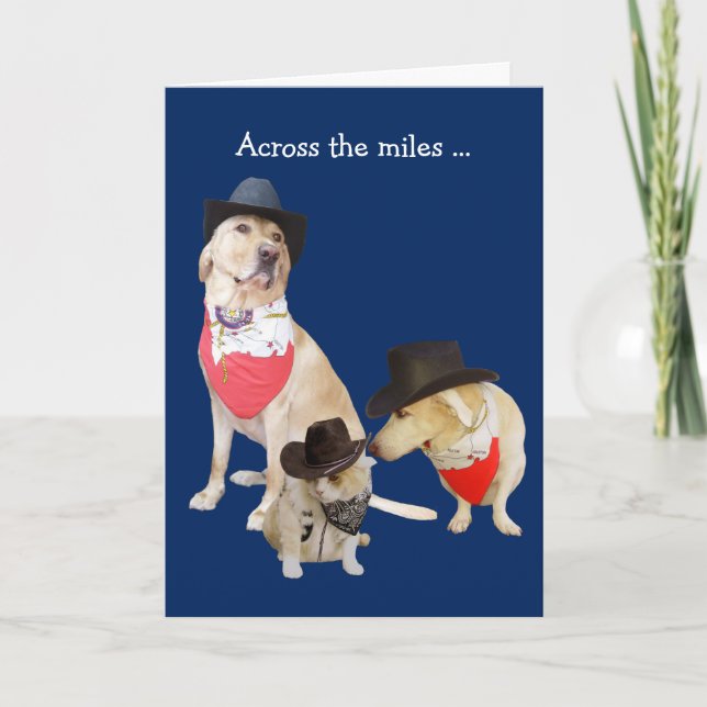Carte Chiens et chats amusants de l'autre côté de la car (Devant)