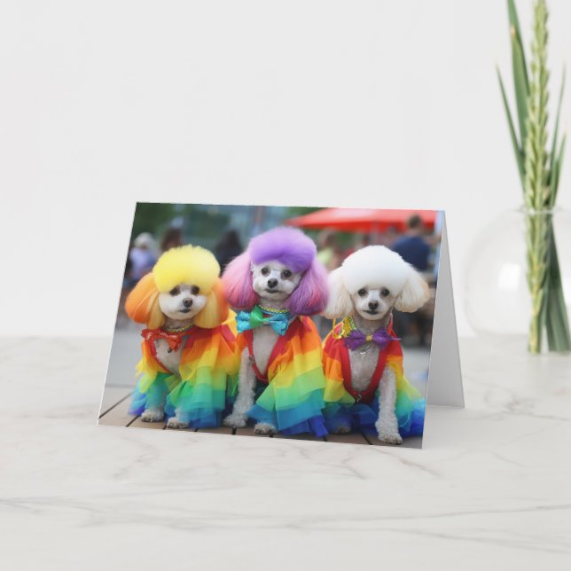 Carte Chiens gay pride Bichon Frisse (Devant)