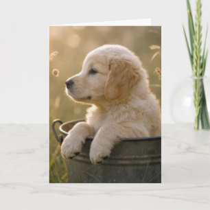 Carte Chiens golden retriever pour anniversaire dans un