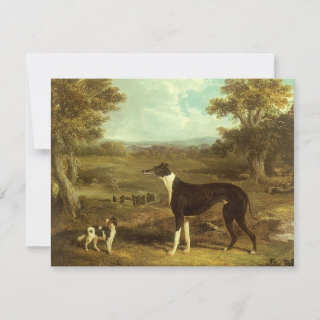 Carte Chiens, Greyhound et Espagnol, Docteur Fop par Her (Devant)