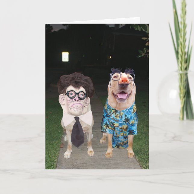 Carte Chiens/laboratoires amusants comme humains à Hallo (Devant)