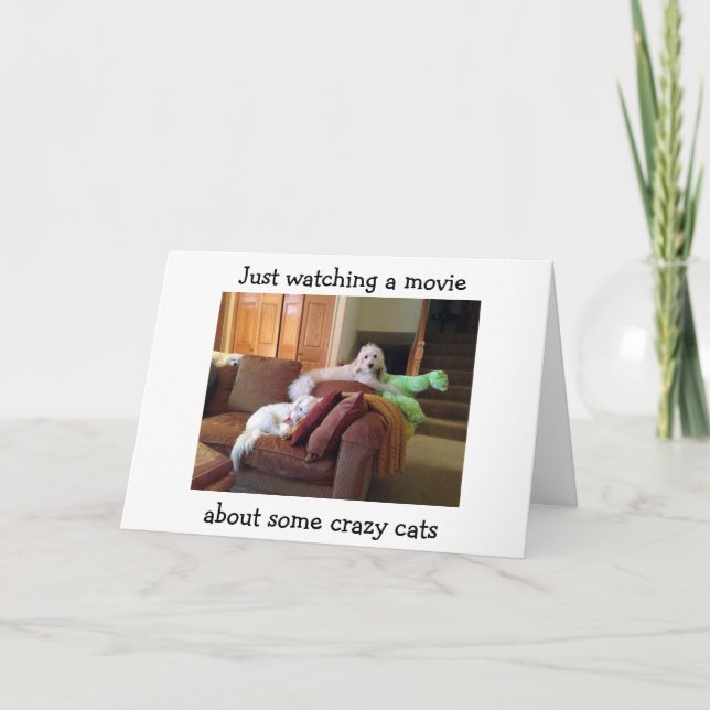 CARTE CHIENS REGARDANT LE FILM À PROPOS DE CRAZY CATS-BI (Devant)