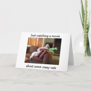 CARTE CHIENS REGARDANT LE FILM À PROPOS DE CRAZY CATS-CA