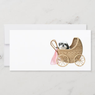 Carte Chih Tzu baby buggy