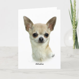 Carte Chihuahua 9P93D-123_2