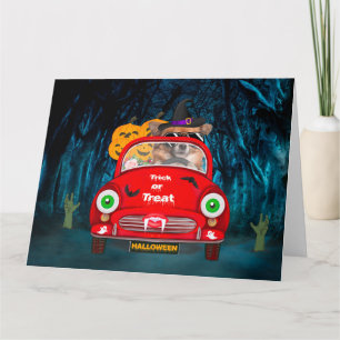 Carte Chihuahua Chien voiture voiture effrayant Hallowee