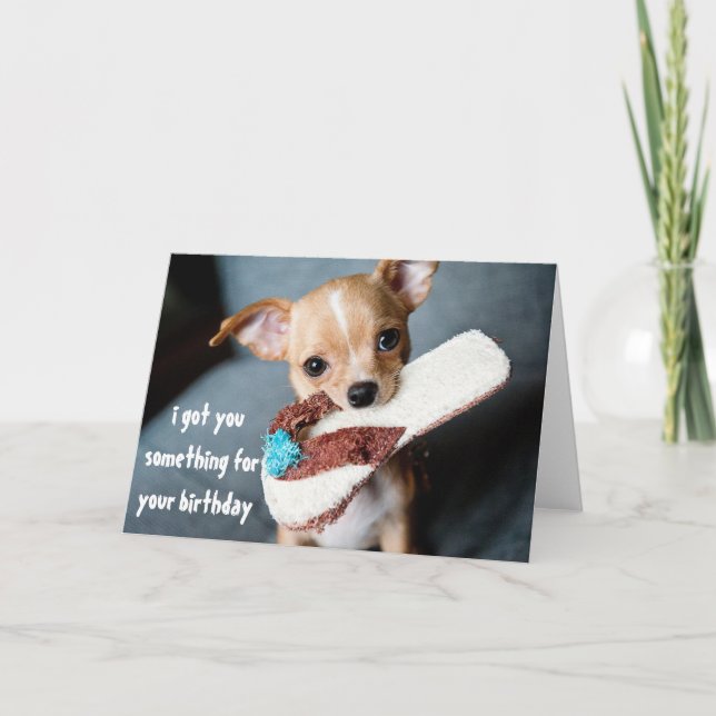 Carte Chihuahua Chiuppy mignonne Anniversaire du Chien (Devant)