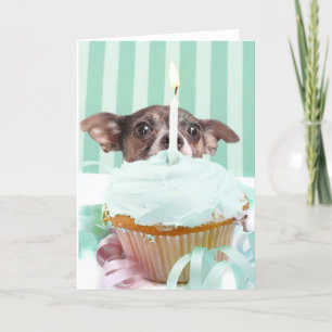 Carte Chihuahua, gâteau d'anniversaire