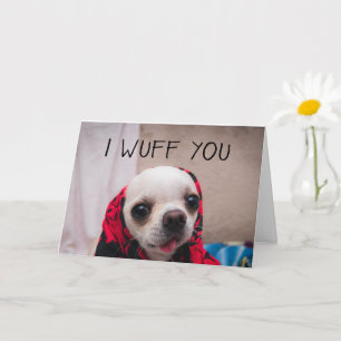 Carte Chihuahua mignon Je t'aime toi amour Saint-Valenti
