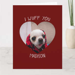 Carte Chihuahua mignon wua vous aimez Saint Valentin pho