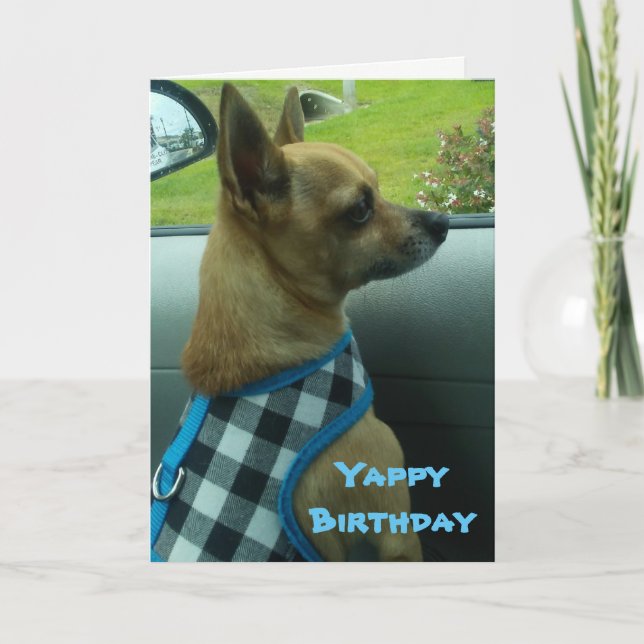 Carte Chihuahua Yappy Birthday Card (Devant)