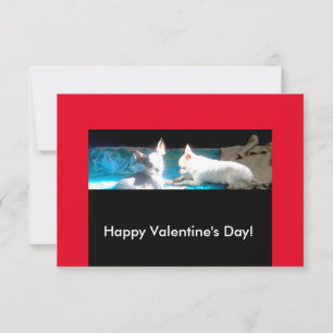 Carte Chihuahuas in Love Valentine Cards