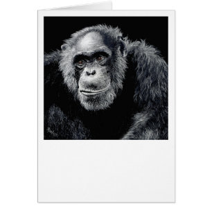 Carte Chimp - "Jacob"