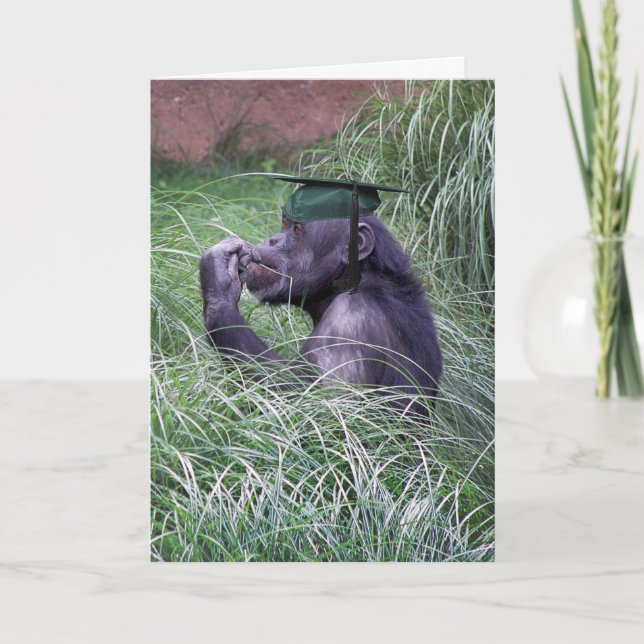 Carte Chimpanzé avec casquette verte (Devant)