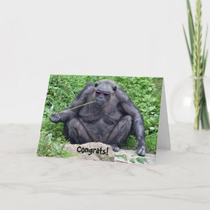 Carte Chimpanzé de retraite avec lunettes de soleil