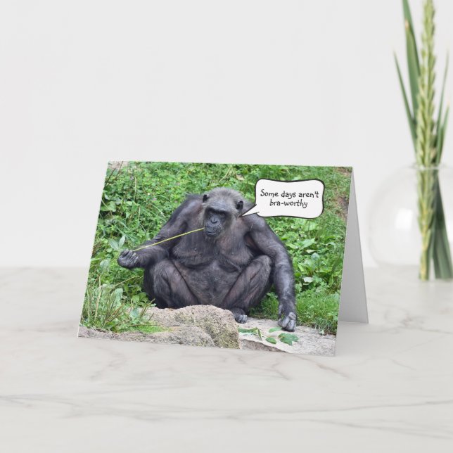 Carte Chimpanzé drôle sur un rocher (Devant)