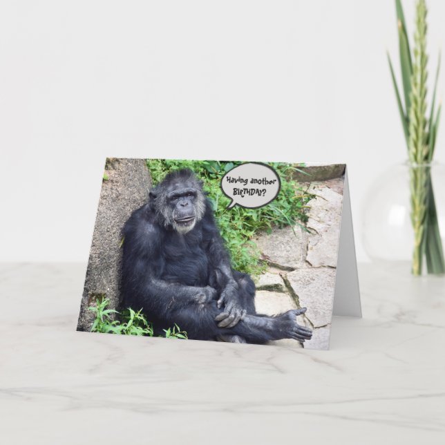 Carte Chimpanzé Vieillir (Devant)