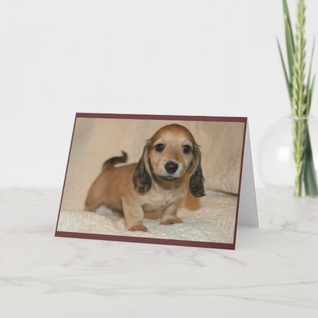 Carte Chiot (Devant)